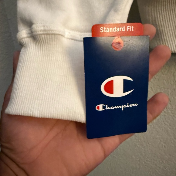 Men's Champion® Midweight Hoodie With Full Script Logo Size Large - Picture 4 of 6